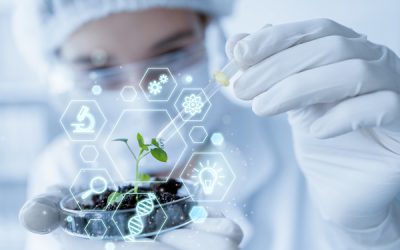 Pedagogía y Educación 3